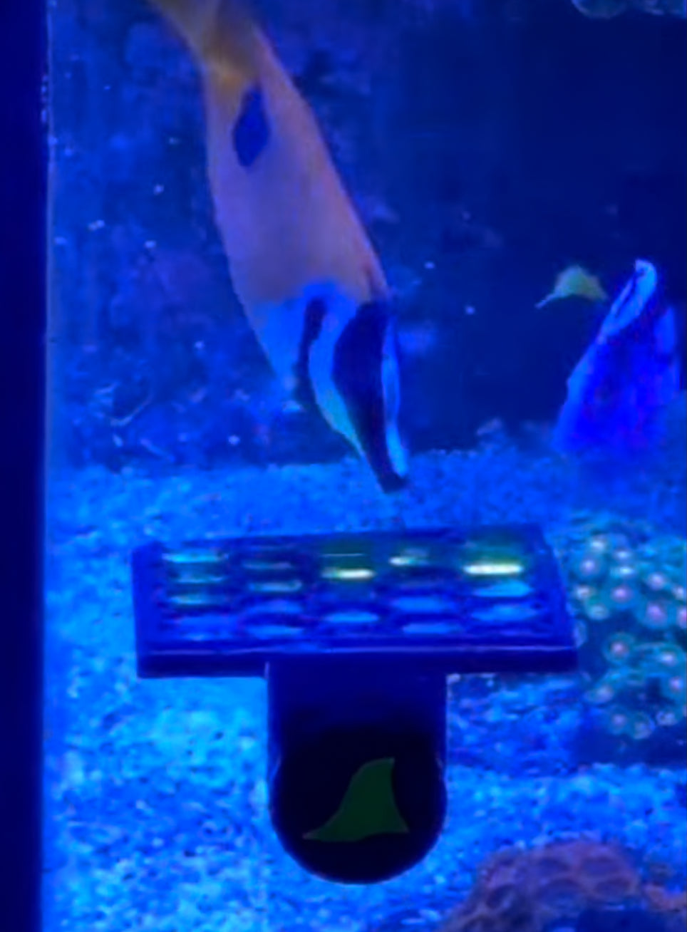 Nori Feeder