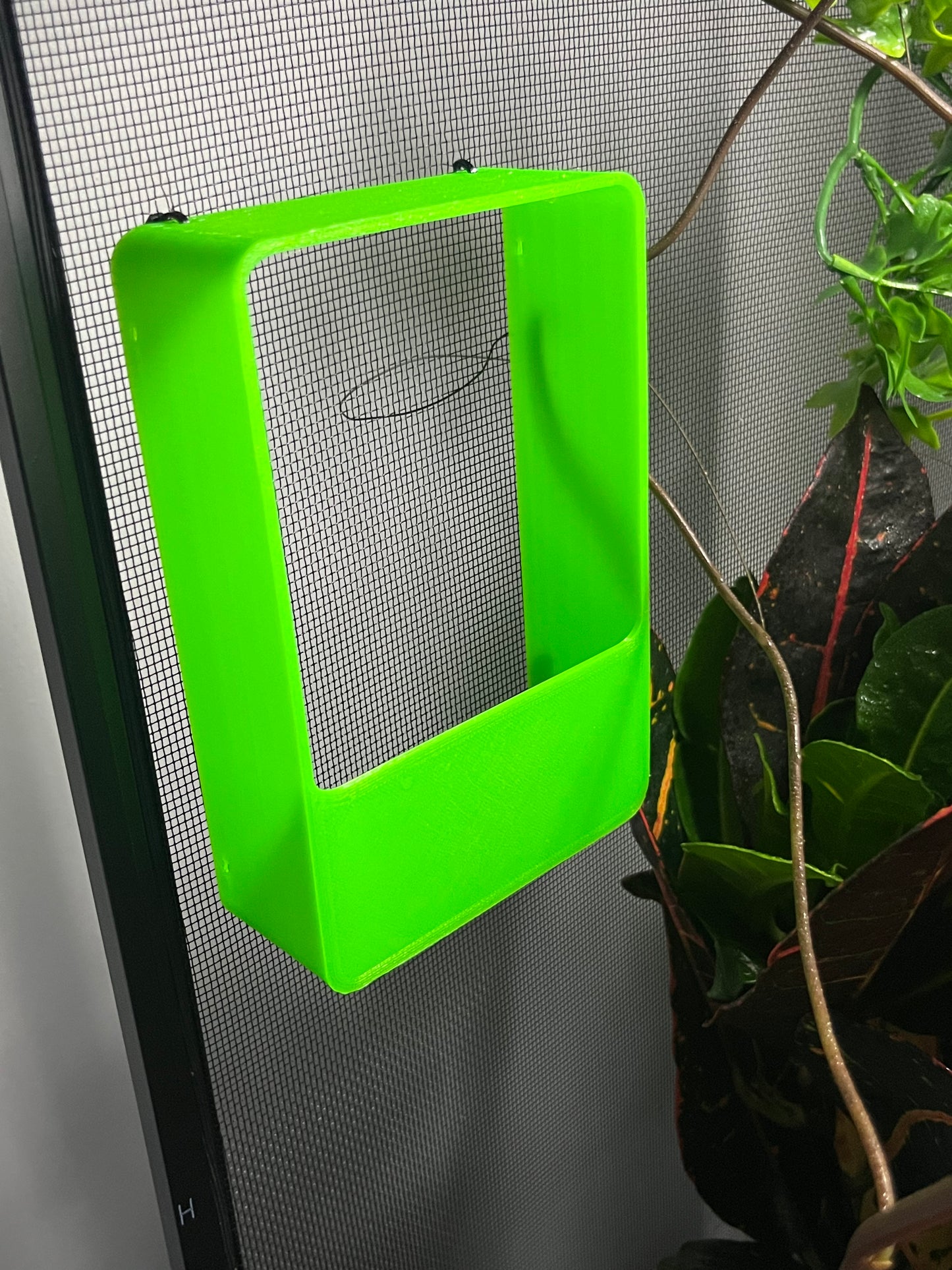 Insect Bug Feeder Box