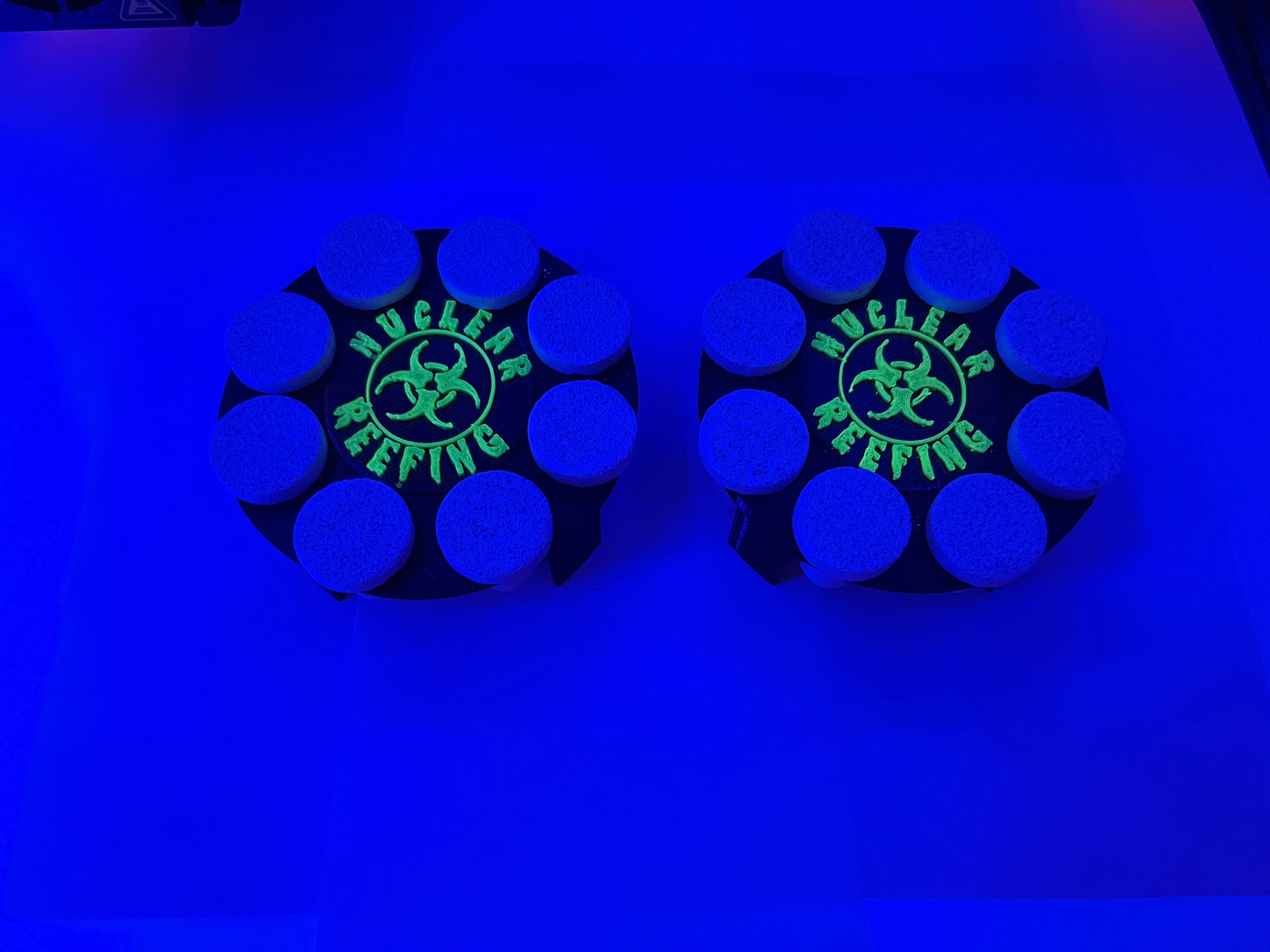 Coral stand 6 plug